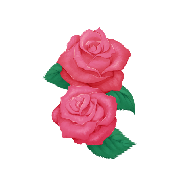 赤いバラの花 無料イラスト素材 Q
